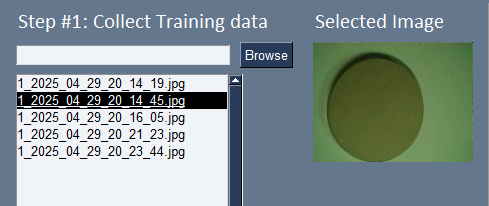 Images taken on the camera displayed in GUI